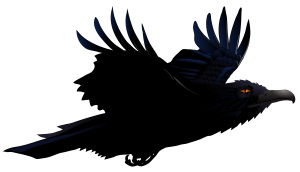 Raven PNG-71462